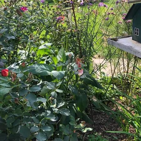 アパート Gartenblick By Interhome