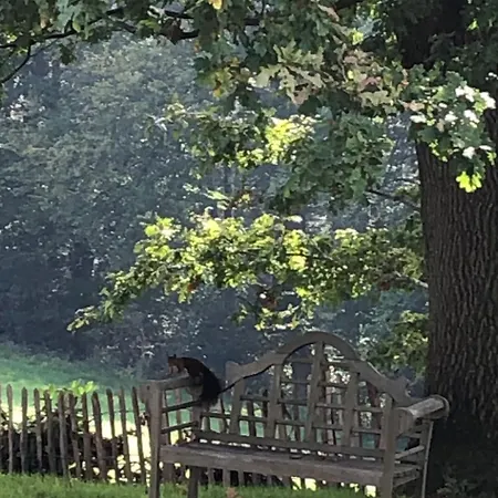 アパート Gartenblick By Interhome *