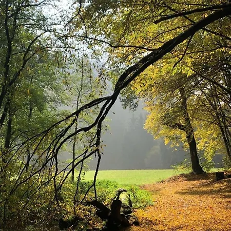 Gartenblick By Interhome